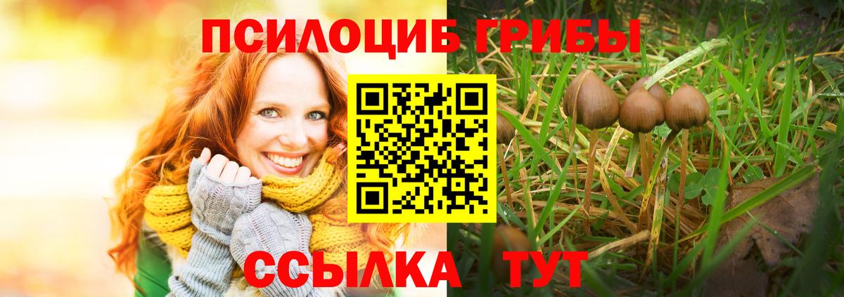 Губаха  Псилоцибиновые грибы мухоморы  Вход с VPN  Галлюциногенные грибы Psilocybine cubensis 