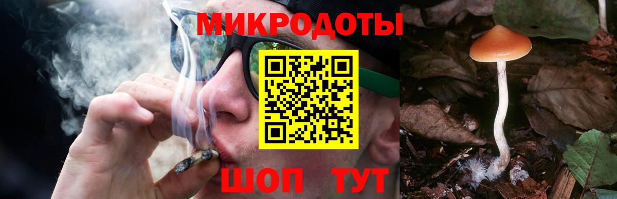 Галлюциногенные грибы Psilocybe Губаха